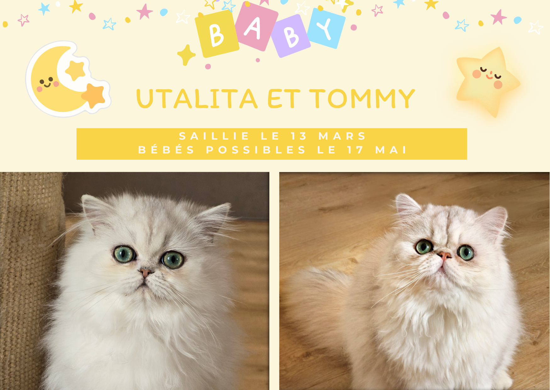 Utalita et Tommy