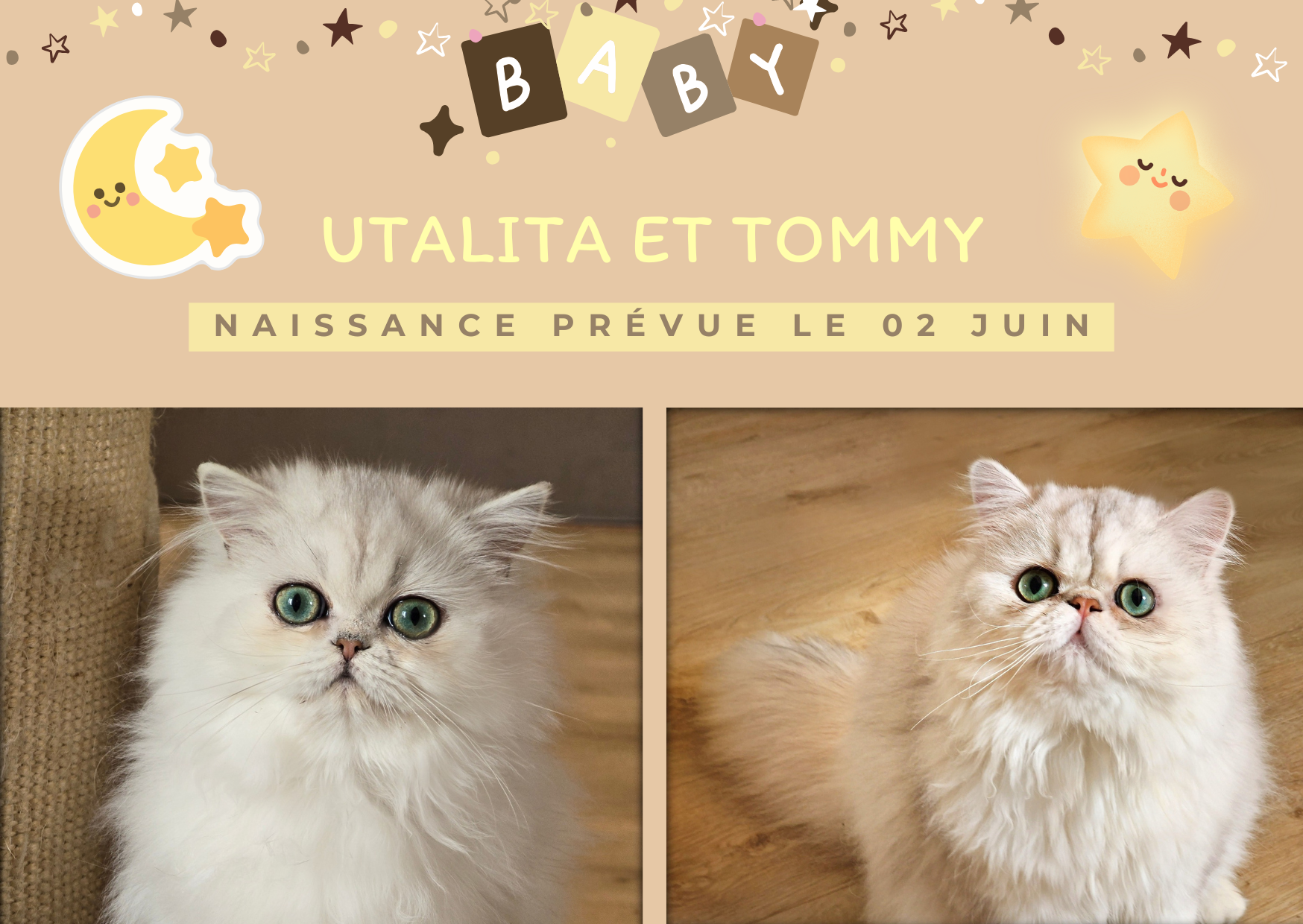 Utalita et Tommy